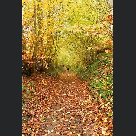 Апартаменты Enjoy 2 Дюрбюи