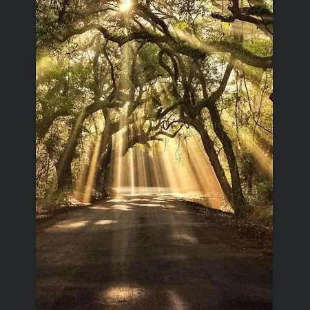 Апартаменты Enjoy 2 *