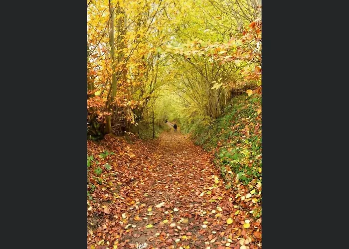 Apartamento Enjoy 2 Durbuy